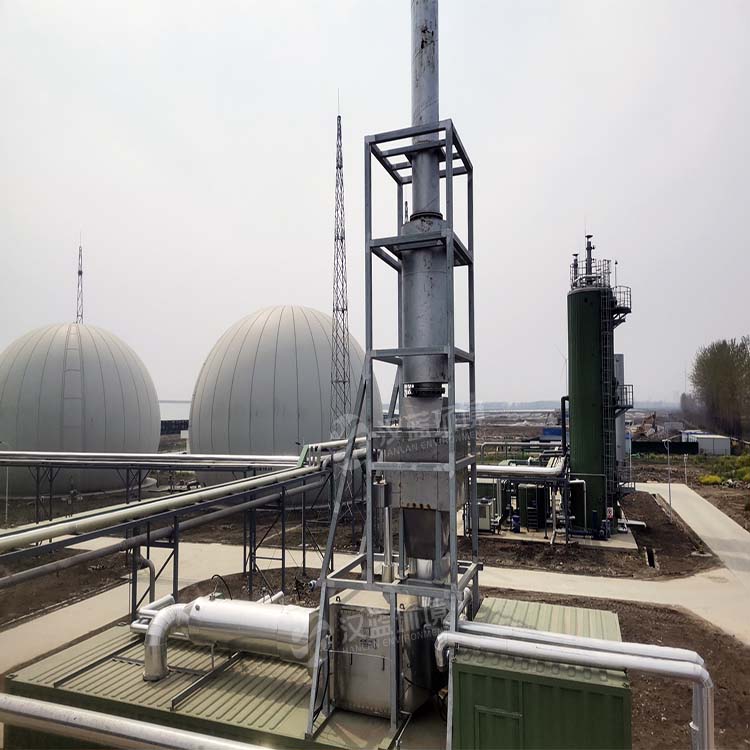 河南某沼氣項目生物質沼氣發電機組脫硝系統 河南某沼氣項目生物質沼氣發電機組脫硝系統