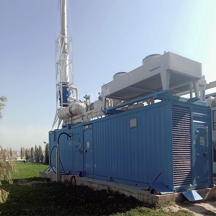 萬純SCR脫硝系統(tǒng)-沼氣發(fā)電機(jī)組脫硝
